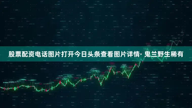 股票配资电话图片打开今日头条查看图片详情· 鬼兰野生稀有